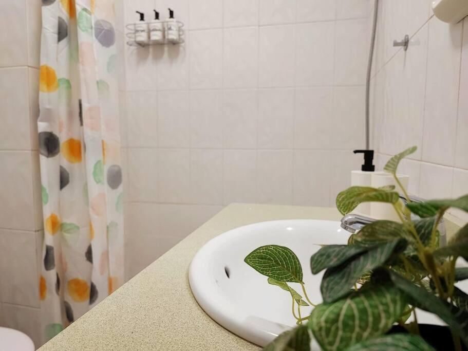 Apartmán Terrace On Puerto Puerto de la Cruz  Exteriér fotografie